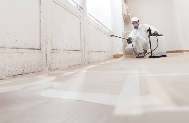 24/7 Emergency Mold Testing experts in Winchester, VA