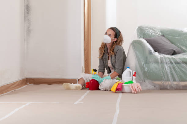 Reliable Mold Testing contractor in Winchester, VA by WQB Mold Removal