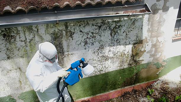 Top rated local Mold Testing specialists in Winchester, VA